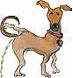 Hund pinkelt