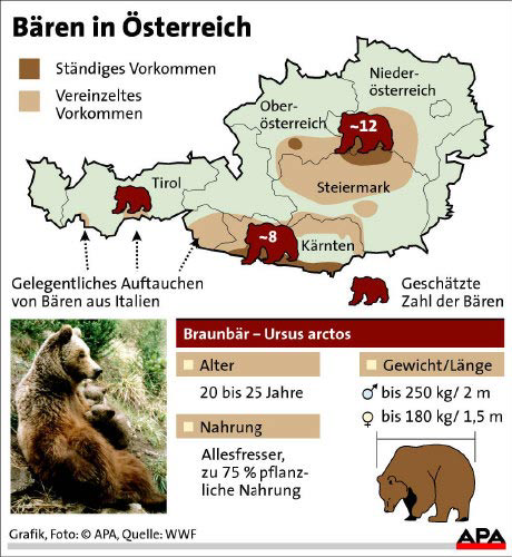 B�renkarte